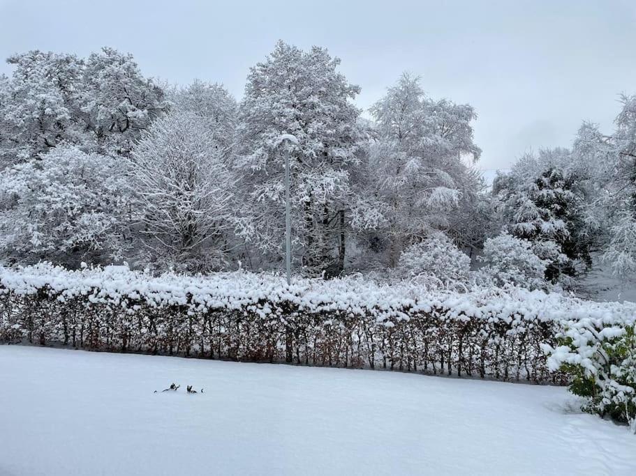 Bonny Wee Snug - Pod In Spean Bridge Apartman Kültér fotó